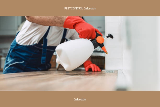 PEST CONTROL Galveston